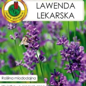 PNOS Lawenda lekarska 0