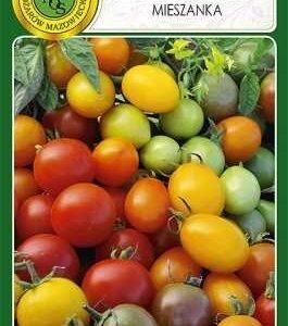 PNOS Mieszanka odmian Pomidor Koktajlowy 0