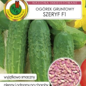 PNOS Ogórek Gruntowy Szeryf Inkrust F1