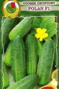 PNOS Ogórek Polan F1 5g