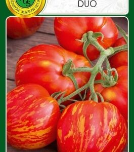 PNOS Pomidor gruntowy DUO 0