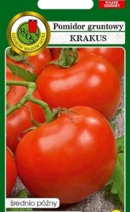 PNOS Pomidor gruntowy Krakus wysoki 1g