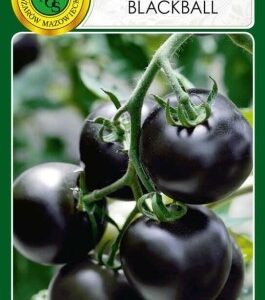 PNOS Pomidor koktajlowy Blackball