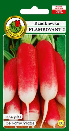 PNOS Rzodkiewka Flamboyant 2