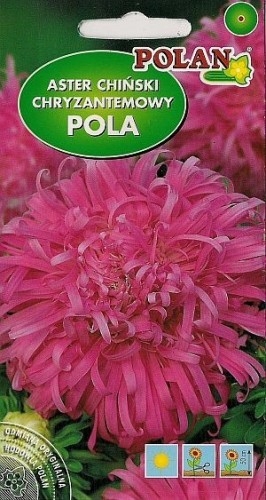 POLAN Aster Chiński Chryzantemowy Pola r&oacute;żowy 1g