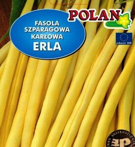 POLAN Fasola szparagowa karłowa żółta Erla 25g