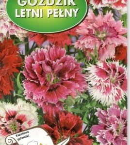 POLAN Goździk Letni Pełny Mieszany 1g