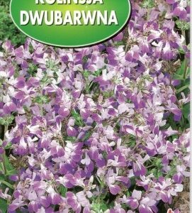 POLAN Kolinsja Dwubarwna 0