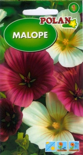 POLAN Malope Mieszanka 2g