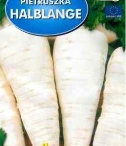 POLAN Pietruszka Halblange- Berlińska 5g