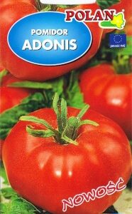 POLAN Pomidor Adonis 0