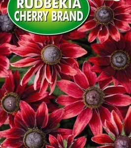 POLAN Rudbekia Letnia Cherry Brandy 0