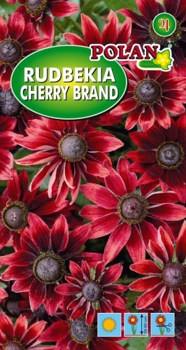 POLAN Rudbekia Letnia Cherry Brandy 0