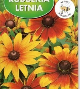 POLAN Rudbekia Letnia Tetra Gloriosa 2g