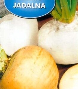 POLAN Rzepa Jadalna Golden Ball 10g