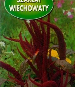POLAN Szarłat Wiechowaty Red Fox czerwony 2g