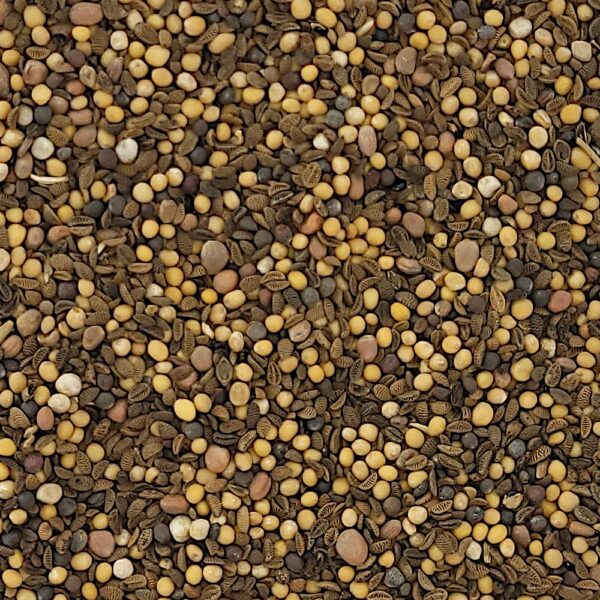 POPLON SZYBKOROSNĄCY MIX mieszanka nasiona na przyoranie 1KG