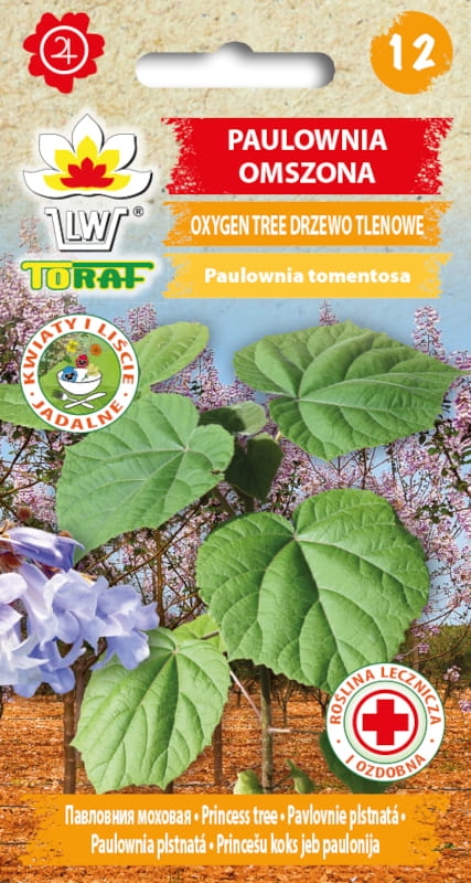 Paulownia Omszona Oxygen Tree Drzewo Tlenowe 0