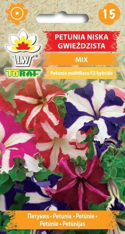 Petunia niska gwieździsta mix 0