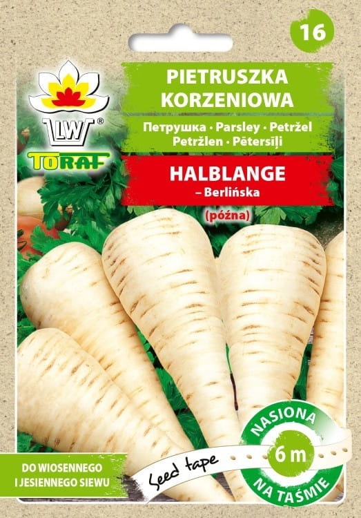 Pietruszka Halblange nasiona na taśmie 6m - TORAF