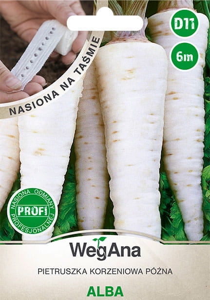 Pietruszka korzeniowa Alba nasiona na taśmie 6 m - WegAna