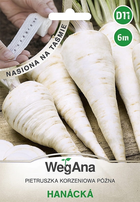 Pietruszka korzeniowa p&oacute;źna Hanacka nasiona na taśmie 6 m - WegAna