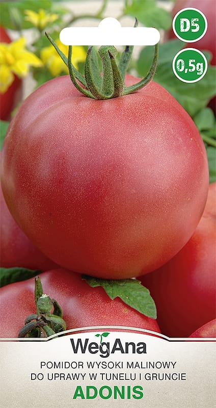 Pomidor Adonis 0