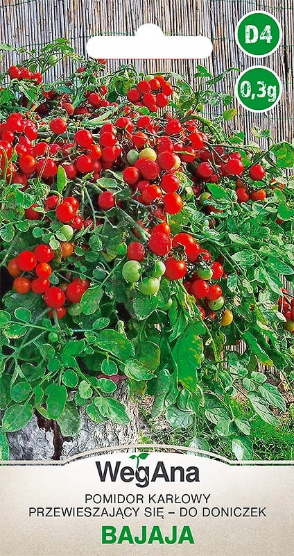Pomidor Bajaja 0