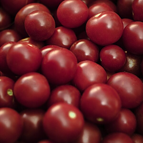 Pomidor Black Cherry 0
