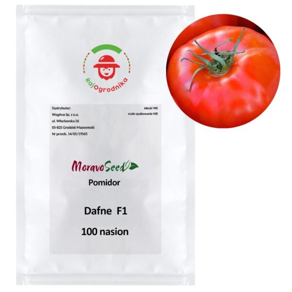 Pomidor Dafne F1 100 nasion - WegAna