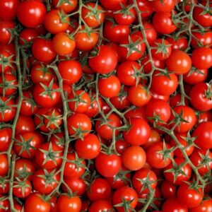 Pomidor Malinowy Kapturek cherry do 600 owoców 0