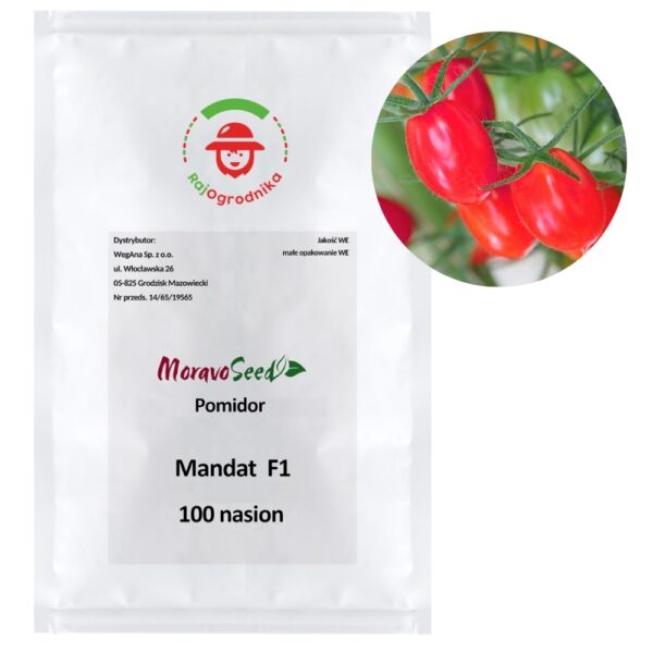 Pomidor Mandat F1 100 nasion - WegAna