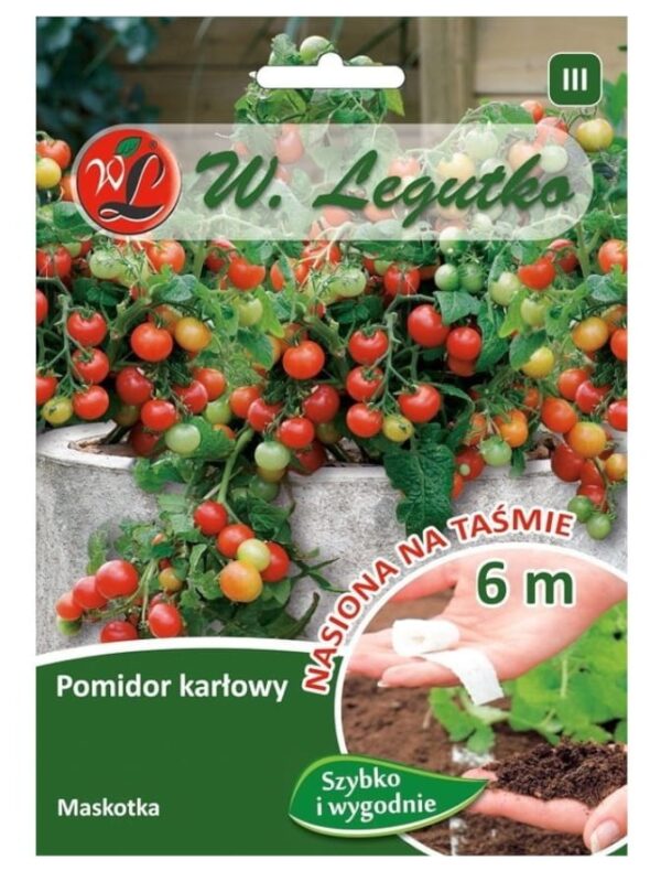Pomidor Maskotka nasiona na taśmie 6m - W. Legutko
