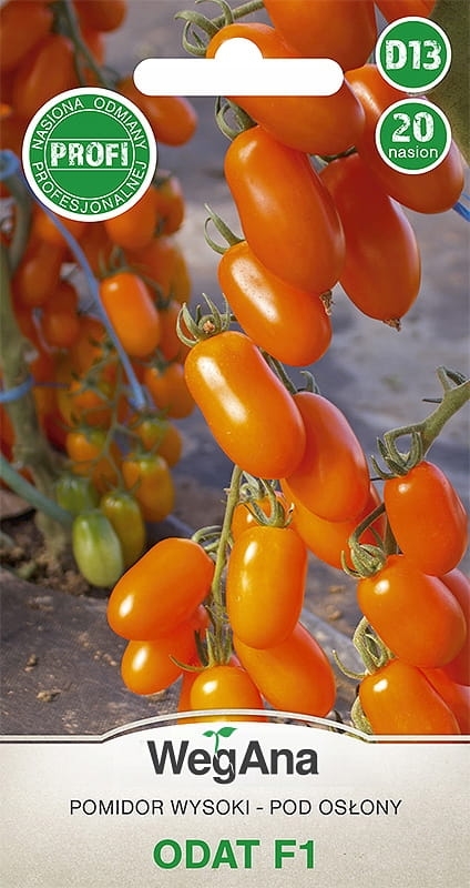 Pomidor Odat F1 20 nasion - WegAna