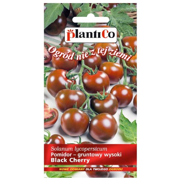 Pomidor gruntowy Black Cherry nasiona 0