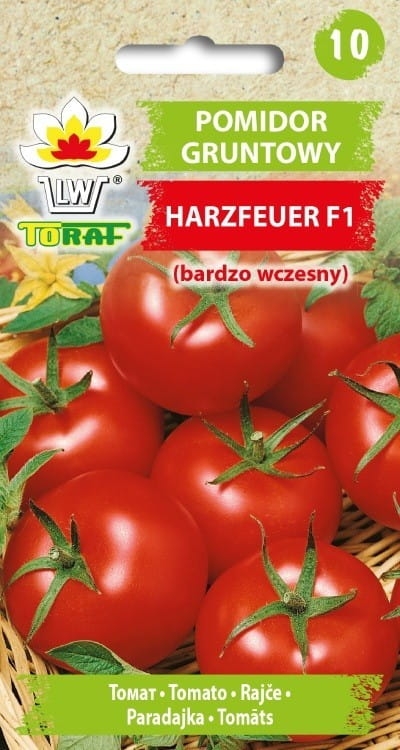 Pomidor gruntowy Harzfeuer nasiona 0