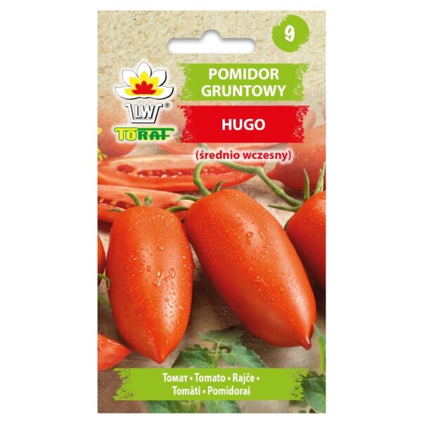 Pomidor gruntowy Hugo nasiona 0