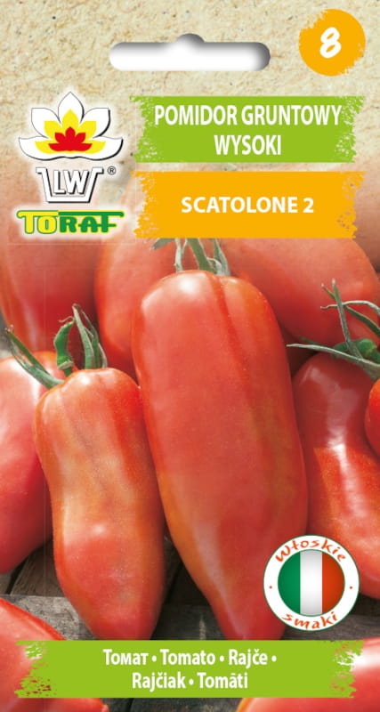 Pomidor gruntowy Scatolone 2 nasiona 0