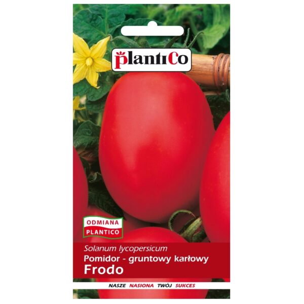 Pomidor gruntowy karłowy Frodo nasiona 1g - PlantiCo