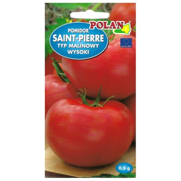 Pomidor gruntowy wysoki Saint-Pierre nasiona 0