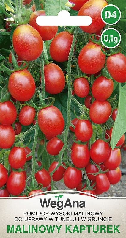 Pomidor malinowy Kapturek 0