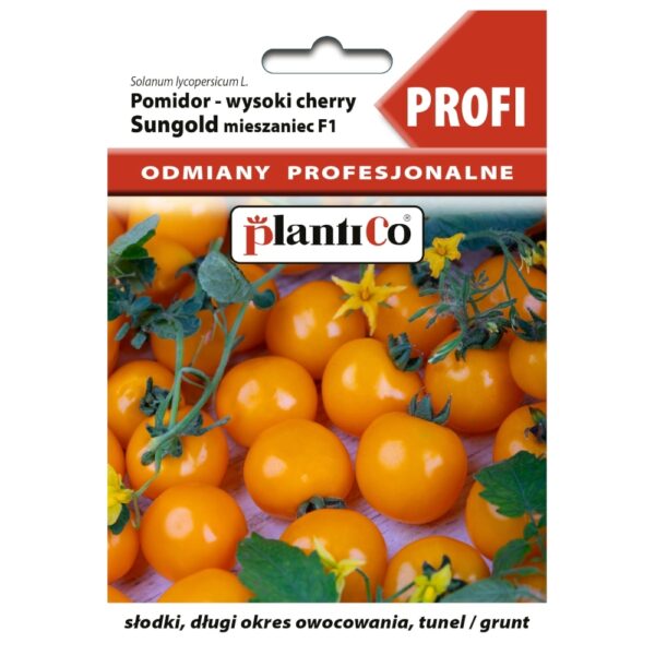 Pomidor pod osłony Sungold mieszaniec F1 nasiona 0