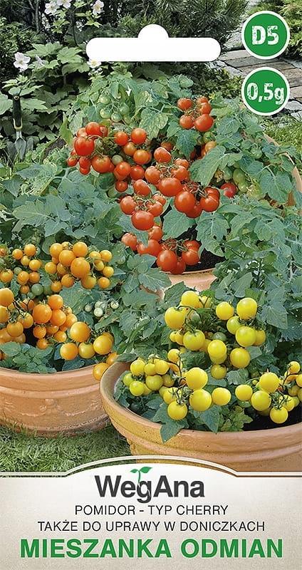Pomidor typ Cherry mieszanka odmian 0
