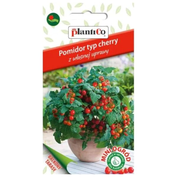 Pomidor typ cherry kulisty czerwony nasiona 0