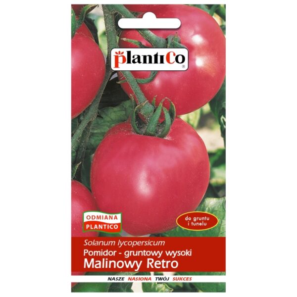 Pomidor typ malinowy wysoki Malinowy Retro nasiona 0