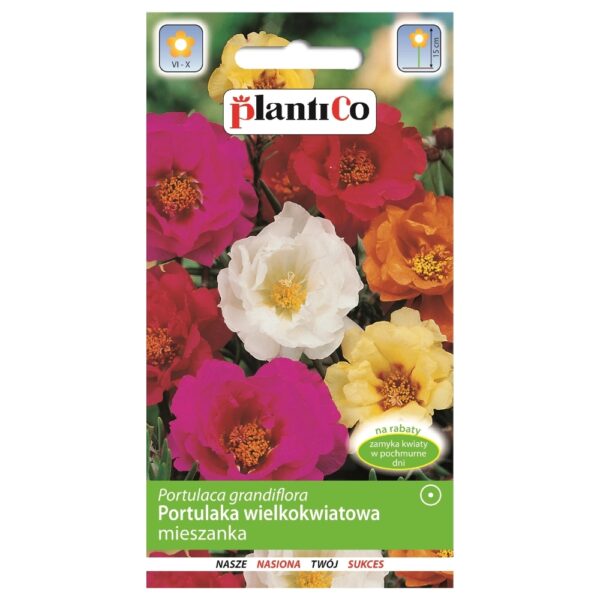 Portulaka wielkokwiatowa mieszanka nasiona 0