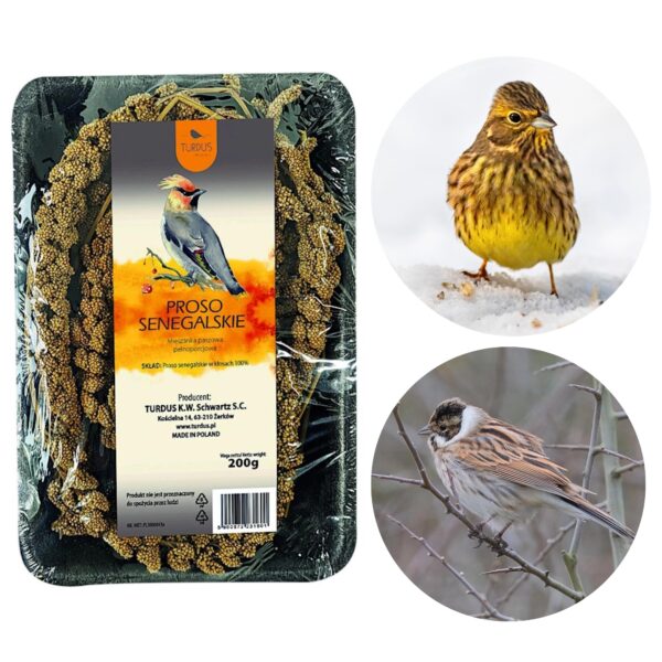 Proso senegalskie dla ptak&oacute;w 200g naturalne ziarno do karmnik&oacute;w i klatek - TURDUS