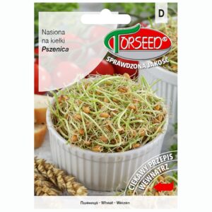 Pszenica nasiona na kiełki 50g - TORSEED