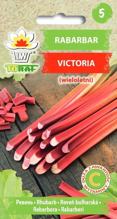 Rabarbar Victoria nasiona 0