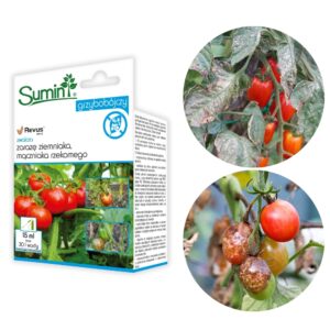 Revus 250 SC zwalcza zarazę ziemniaka